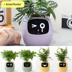 Ivy Smart Planter: 49 Expressions, 7 Sensors & AI for Easy, Fun Plant Care