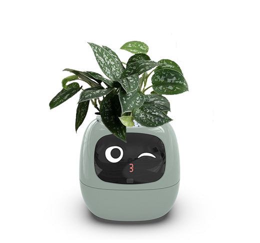 Ivy Smart Planter: 49 Expressions, 7 Sensors & AI for Easy, Fun Plant Care